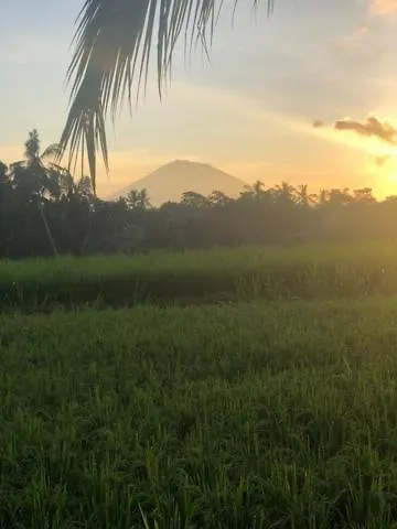 Our Bali 民宿 乌布