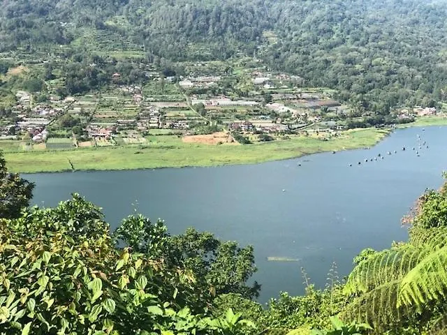 Our Bali 民宿