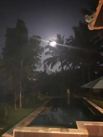 Our Bali * 乌布