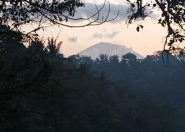 Our Bali 民宿